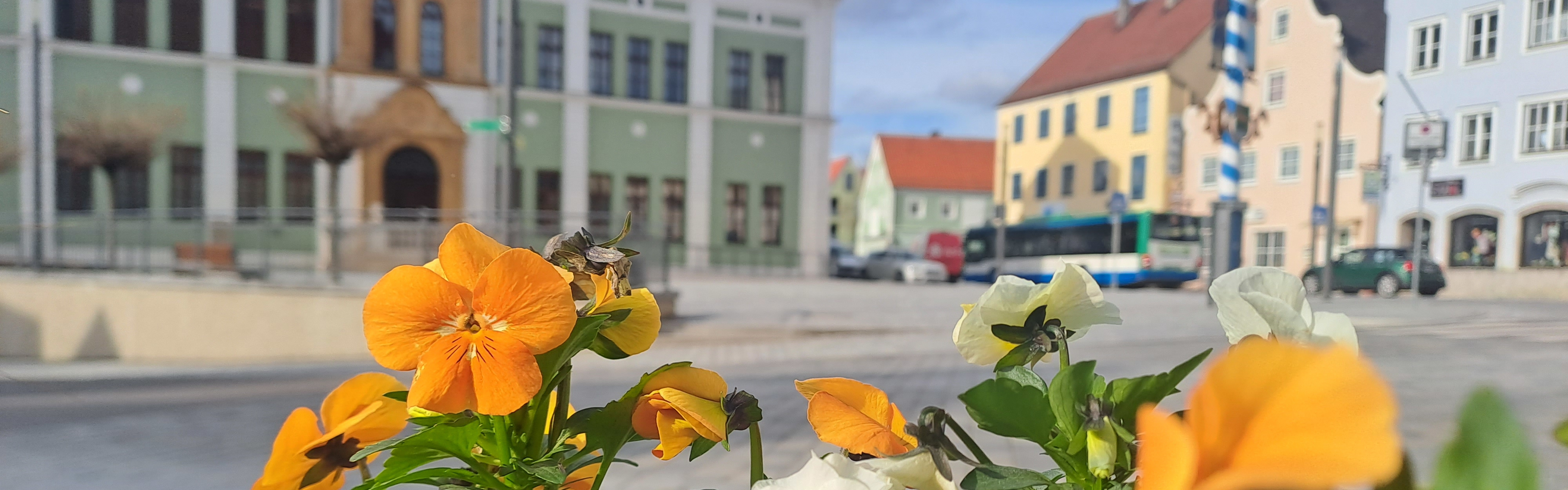 Slider Frühblüher Primerl